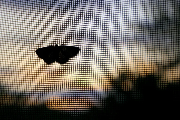 Mosquiteras y tendederos en Pamplona